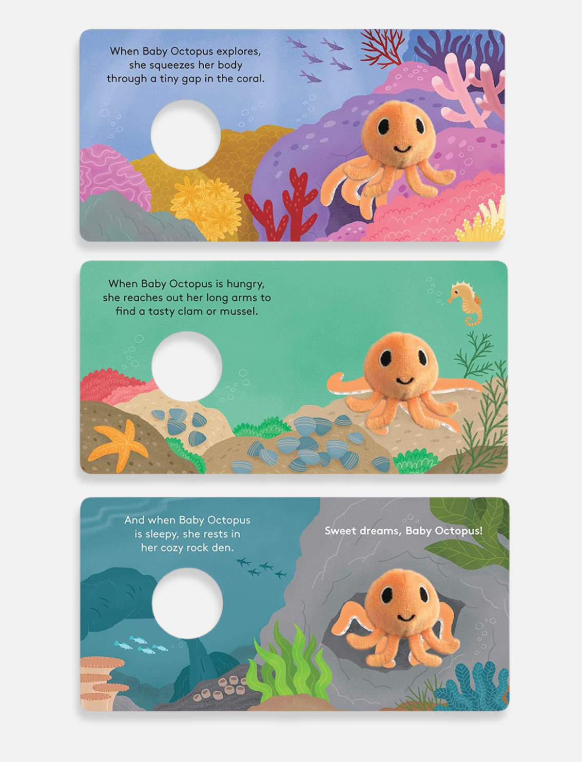 ספר בובת אצבע Baby Octopus