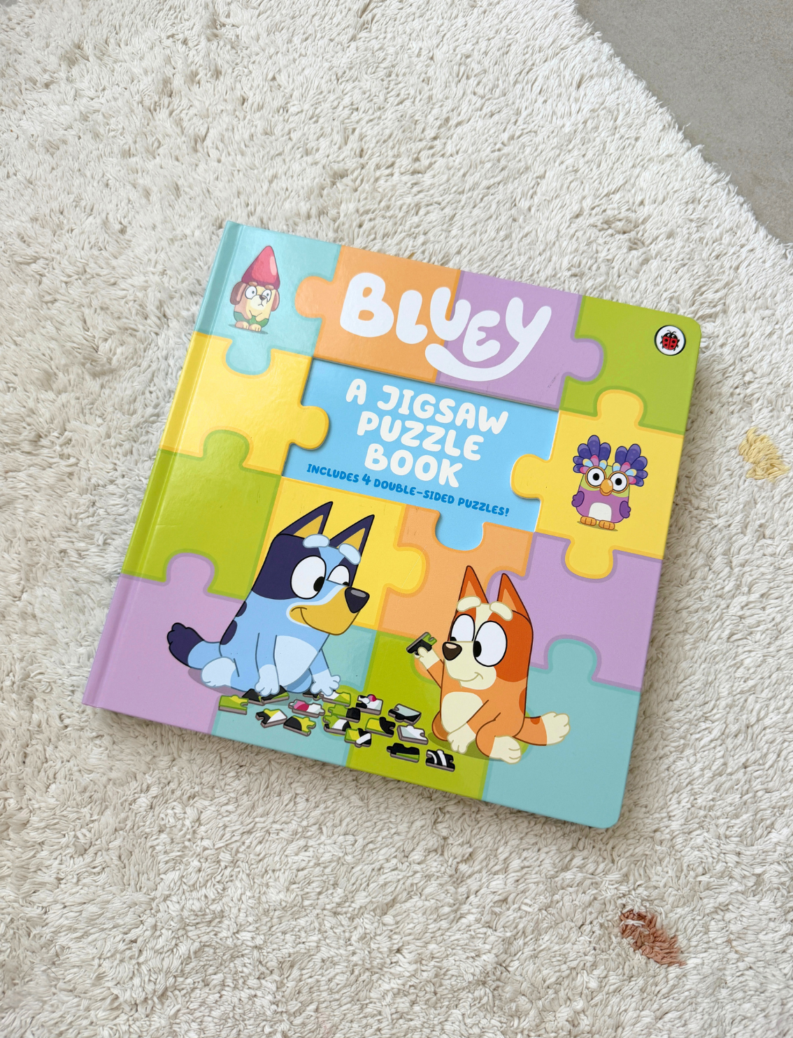 ספר פאזל Bluey