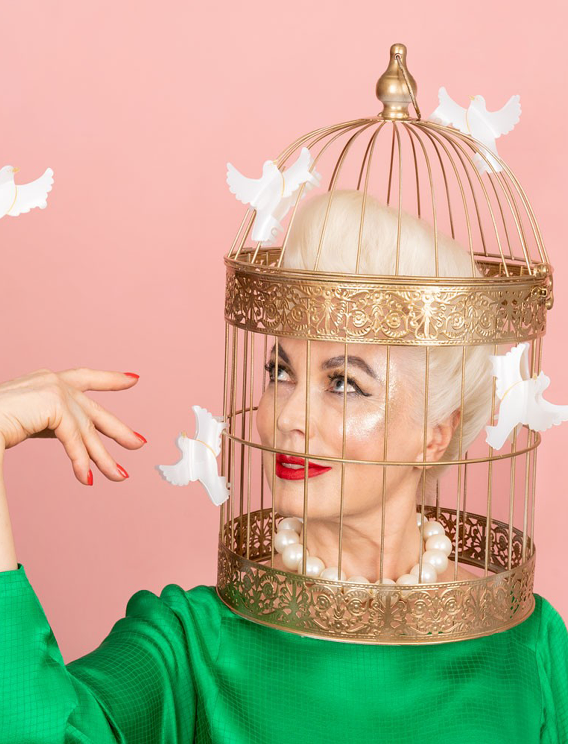 קליפס לשיער Dove