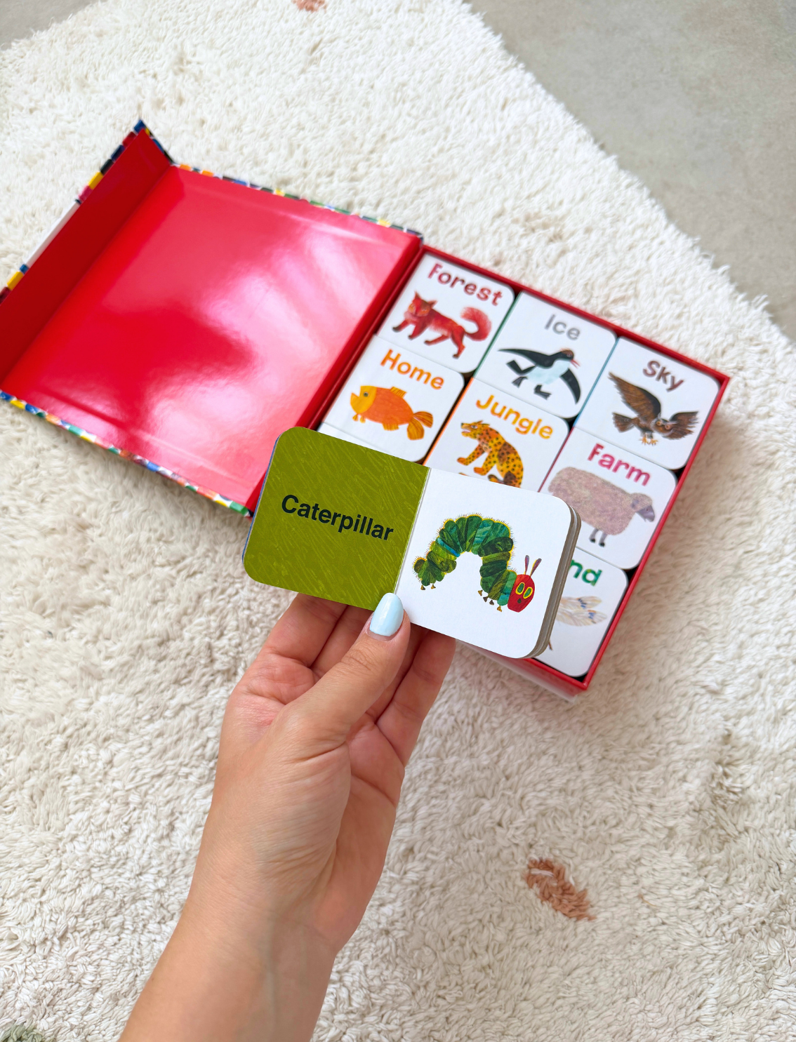 מארז ספרונים Eric Carle: Big Box of Little Books