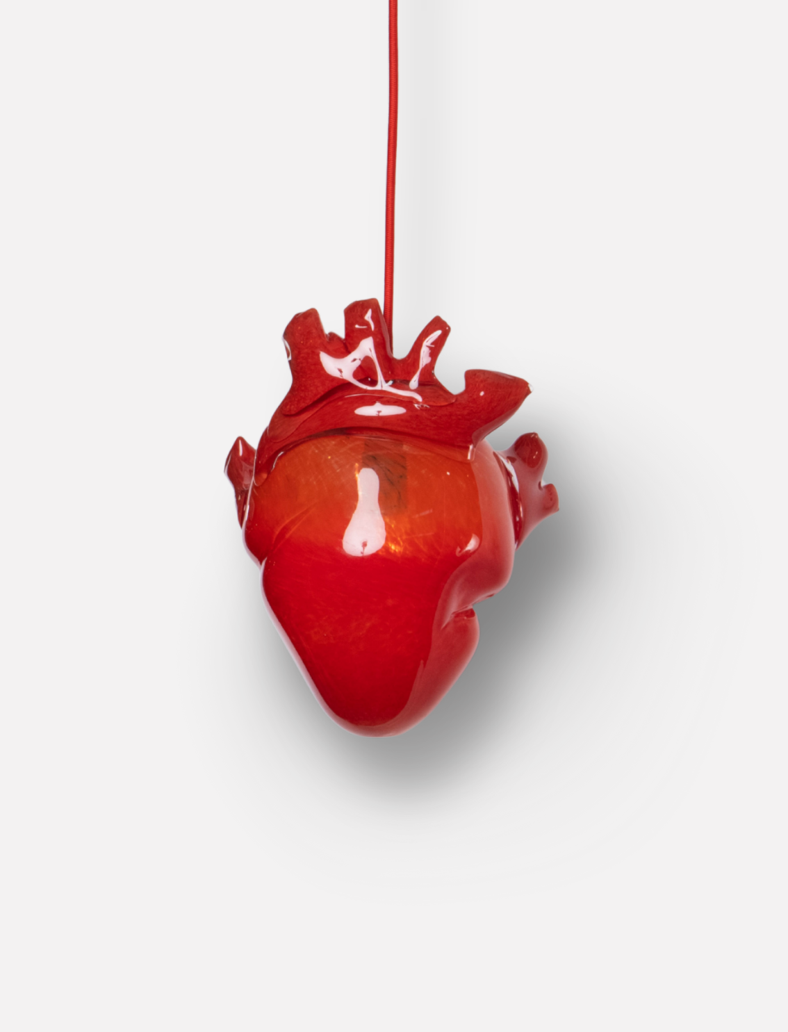 בית מנורה Heart