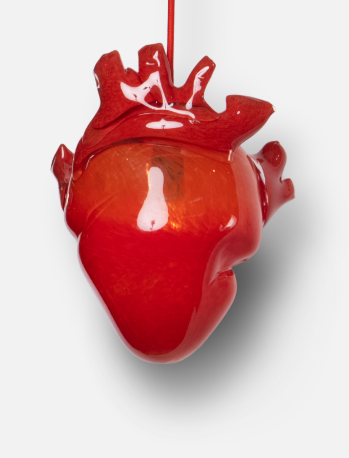 בית מנורה Heart