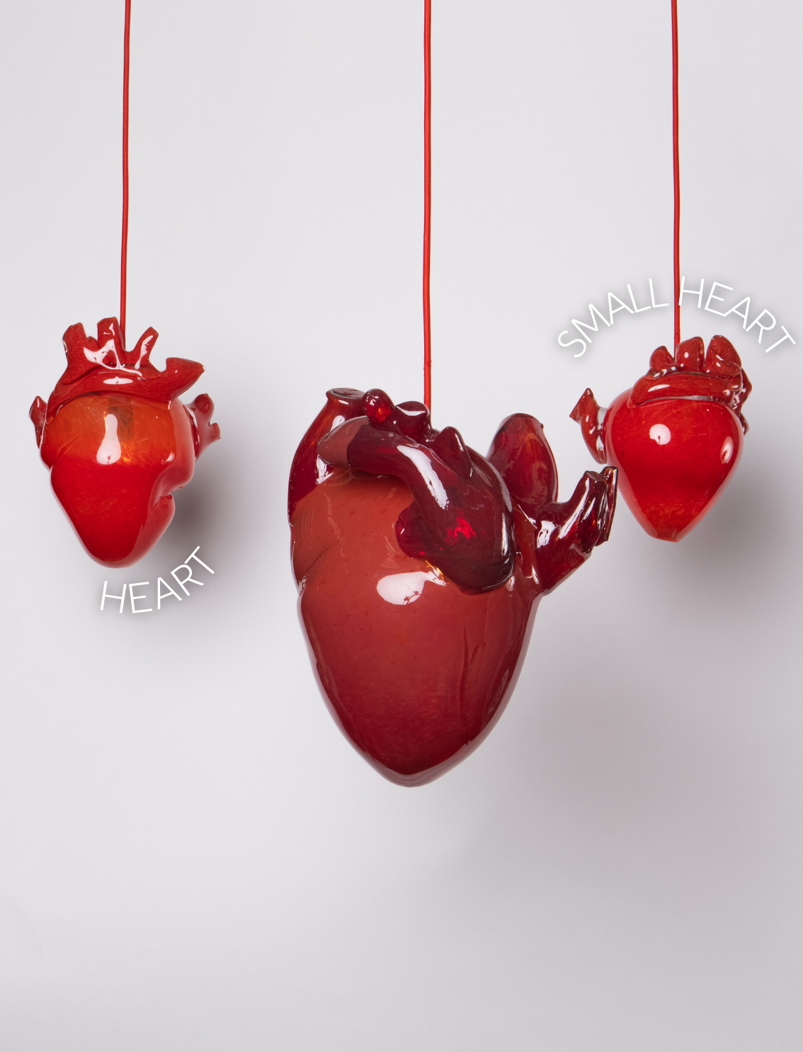 בית מנורה Heart