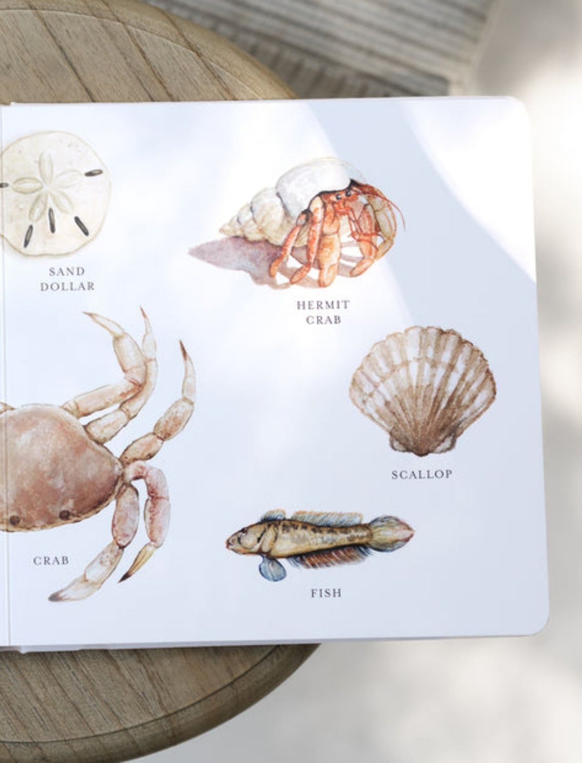 ספר קרטון Our Big Book Of Animals