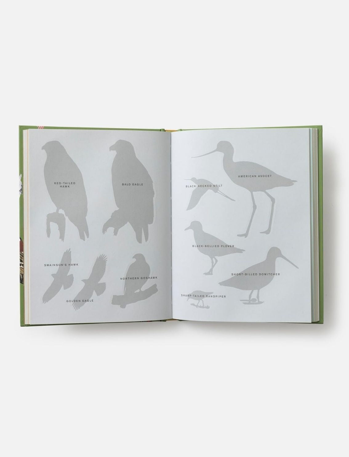 ספר מדבקות Sibley Birding