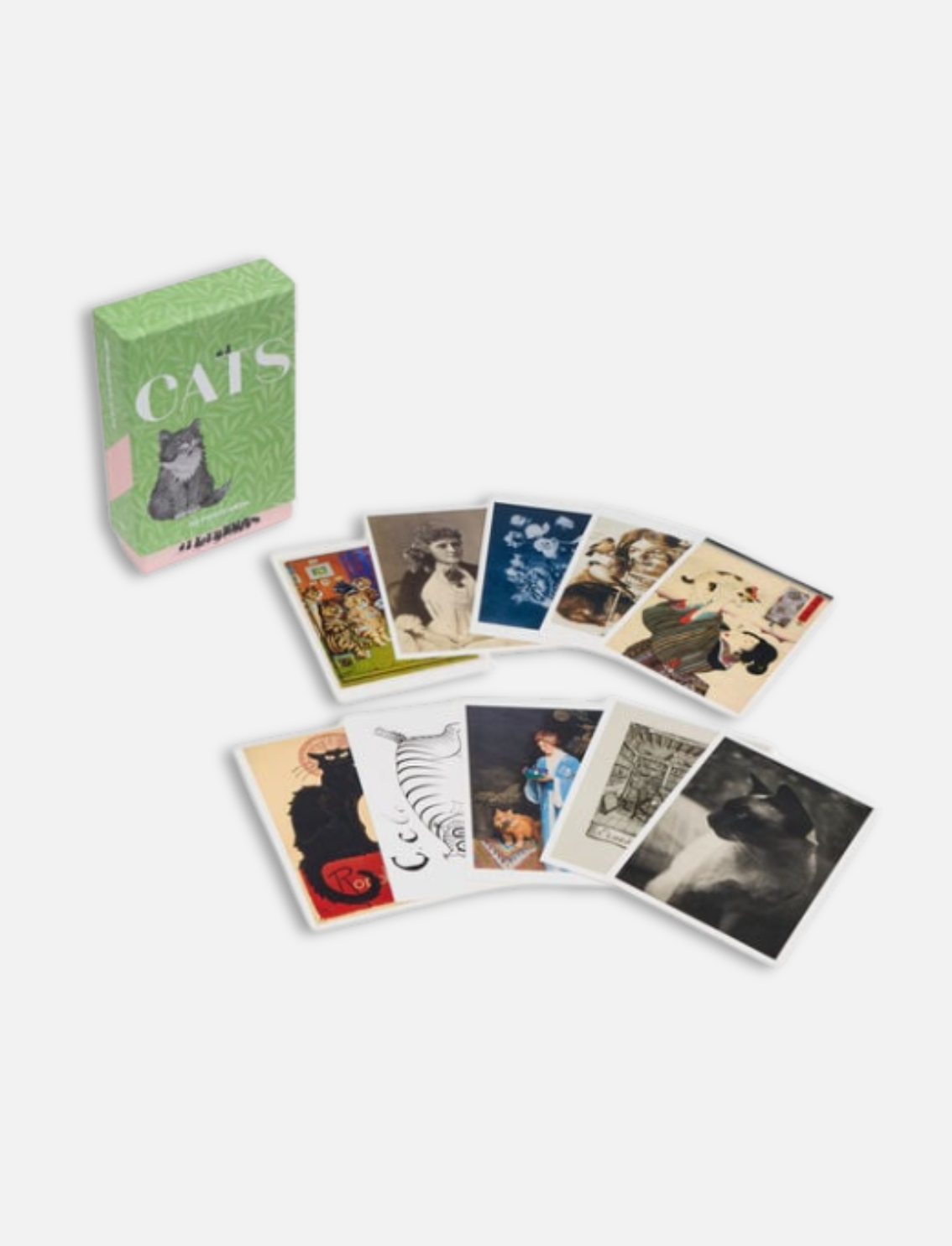 מארז 50 גלויות: Cats of the V&A