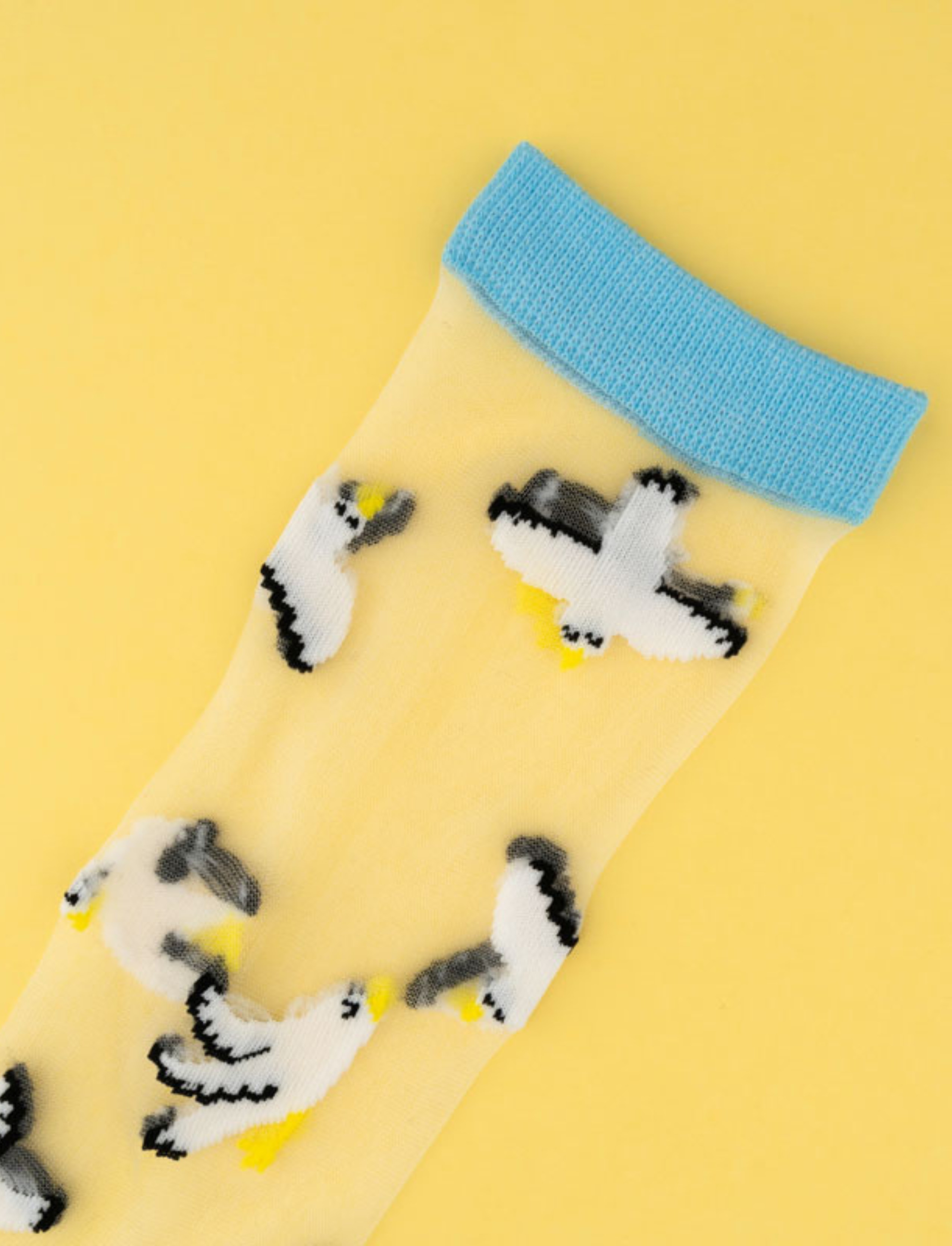 גרביים שקופות Seagull