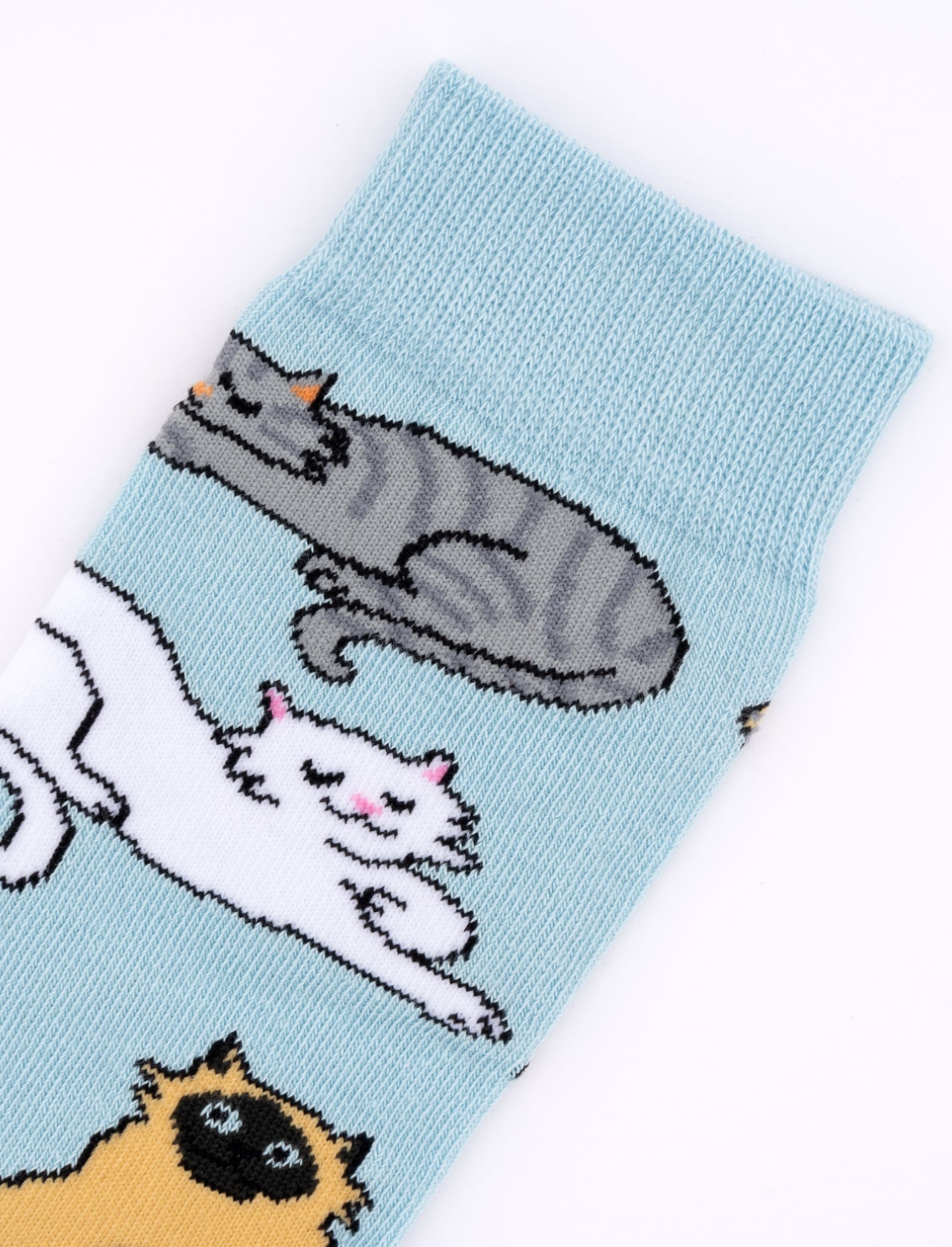 גרבי כותנה Meow