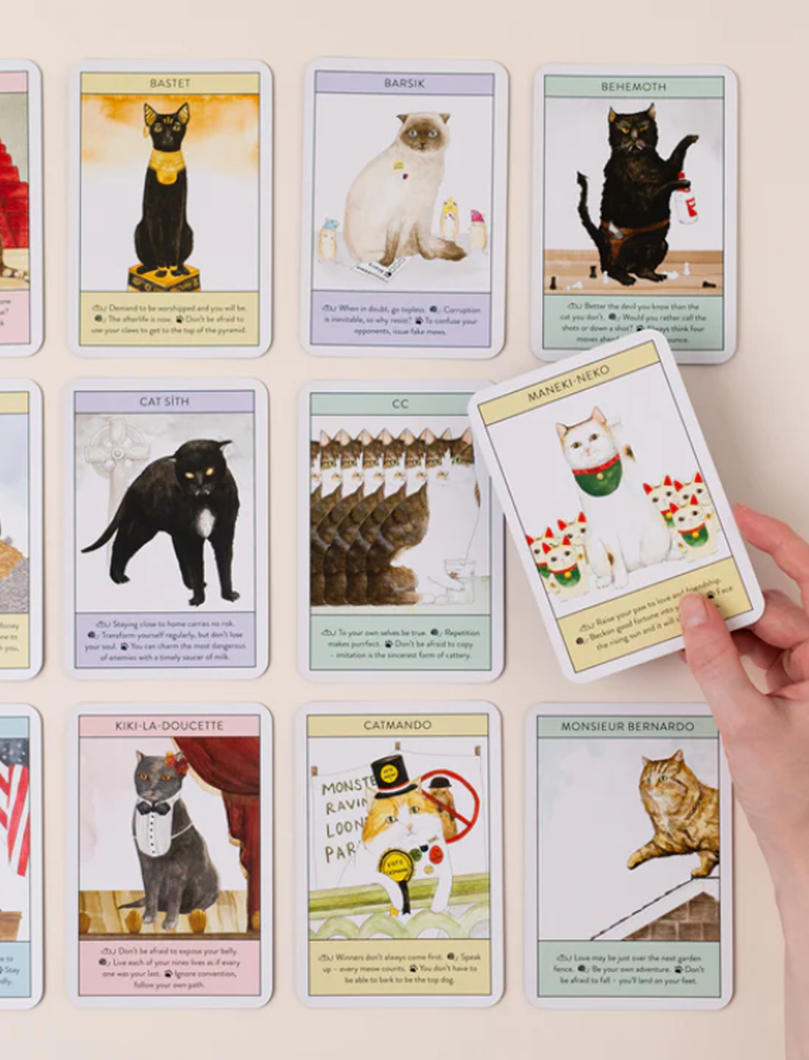 מארז קלפים Cat Gurus