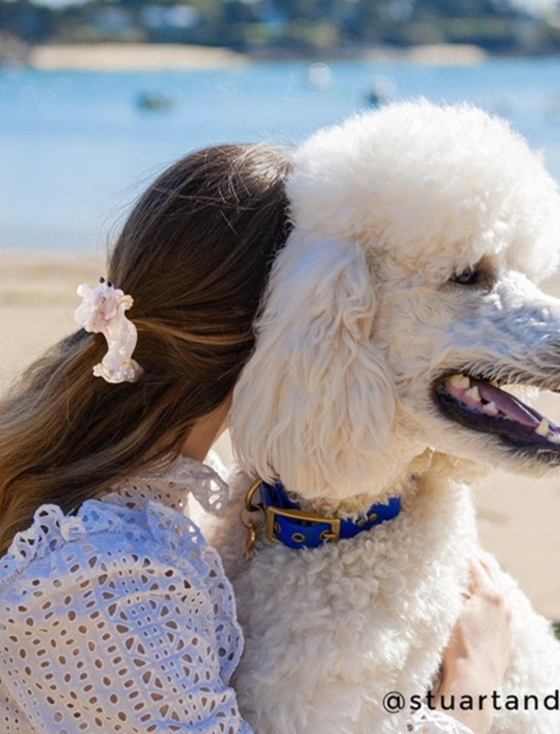 קליפס לשיער Poodle