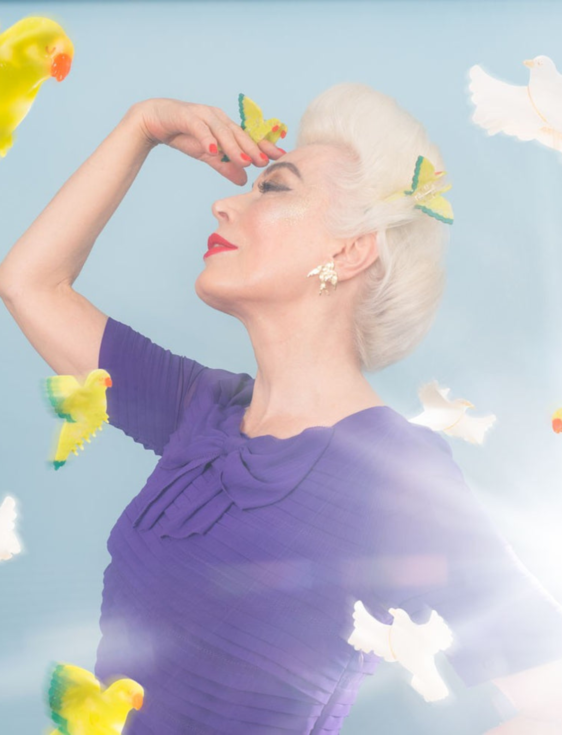 זוג עגילים צמודים Swallow