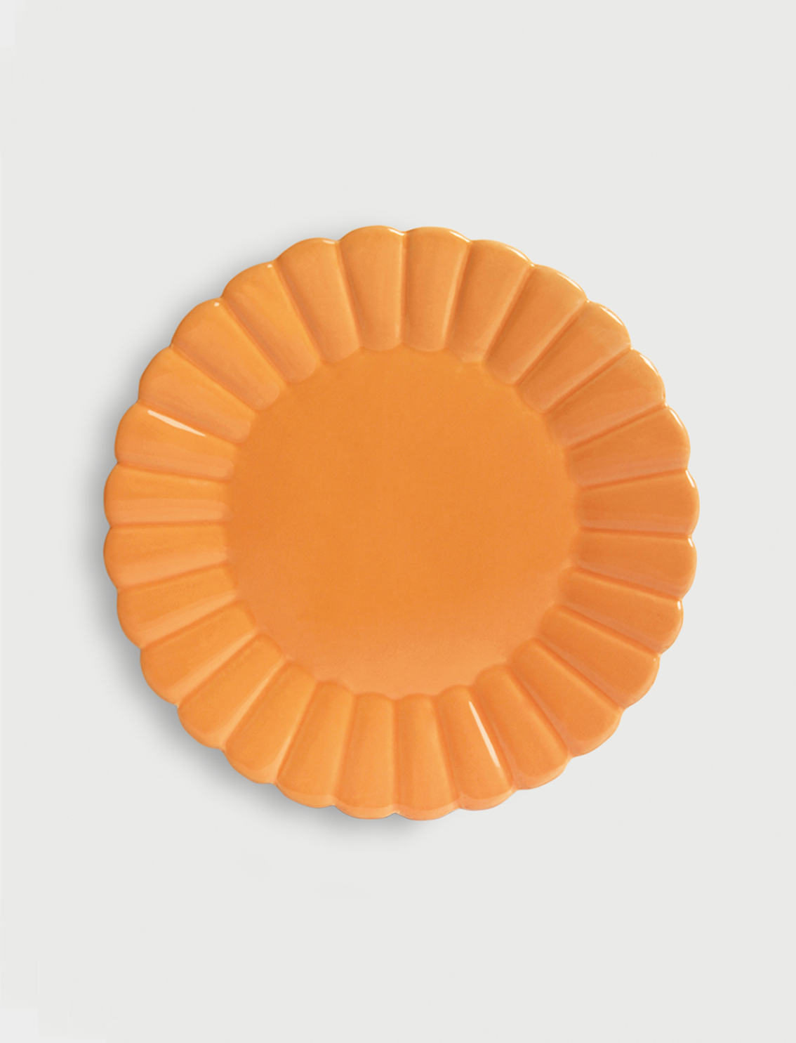 סט 6 צלחות Scallop