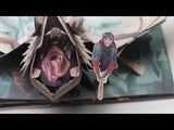 הארי פוטר - המדריך ליצורים הקסומים: ספר פופ אפ ענקי