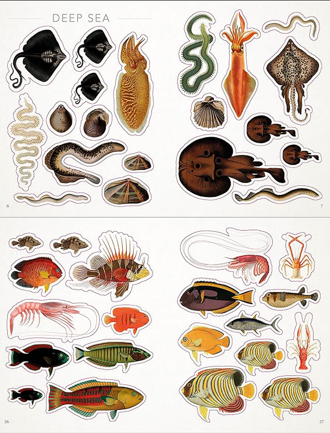 ספר מדבקות: The Seashore Sticker Anthology