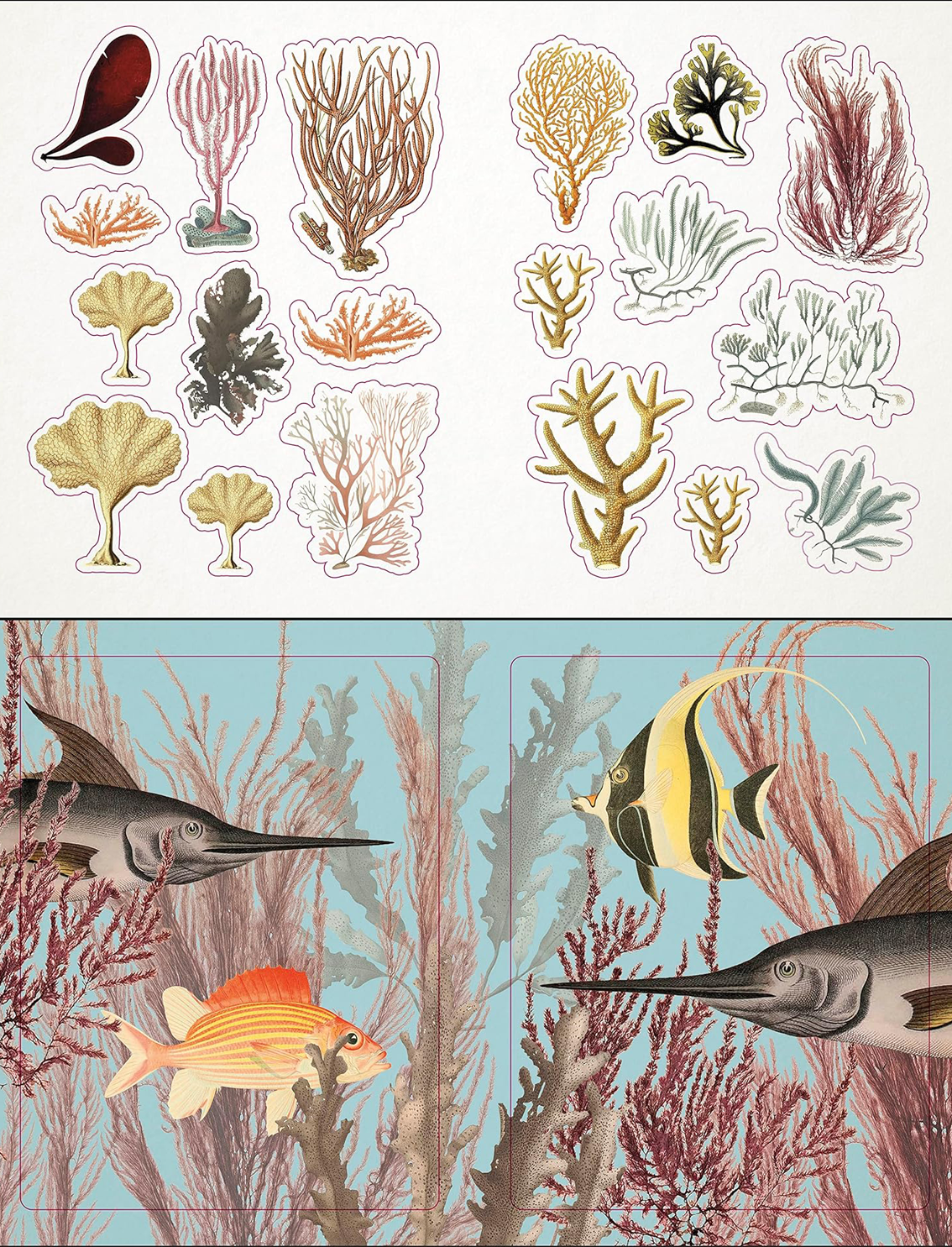 ספר מדבקות: The Seashore Sticker Anthology