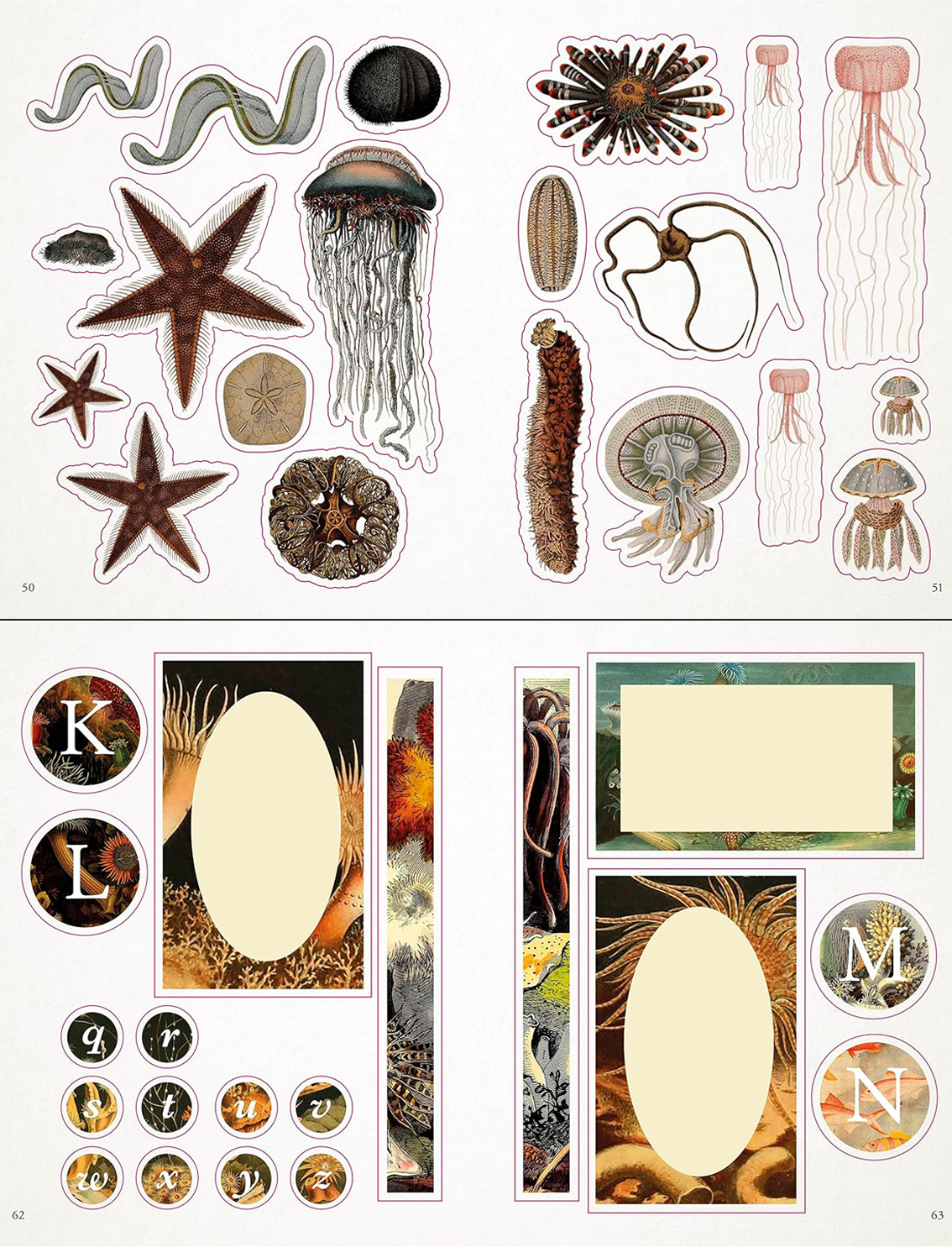 ספר מדבקות: The Seashore Sticker Anthology