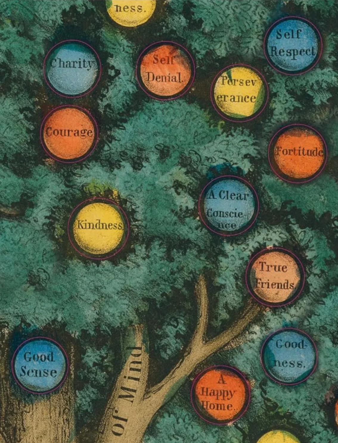 ספר מדבקות מצוירות של John Derian