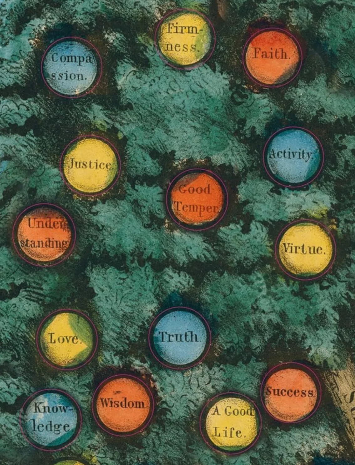 ספר מדבקות מצוירות של John Derian