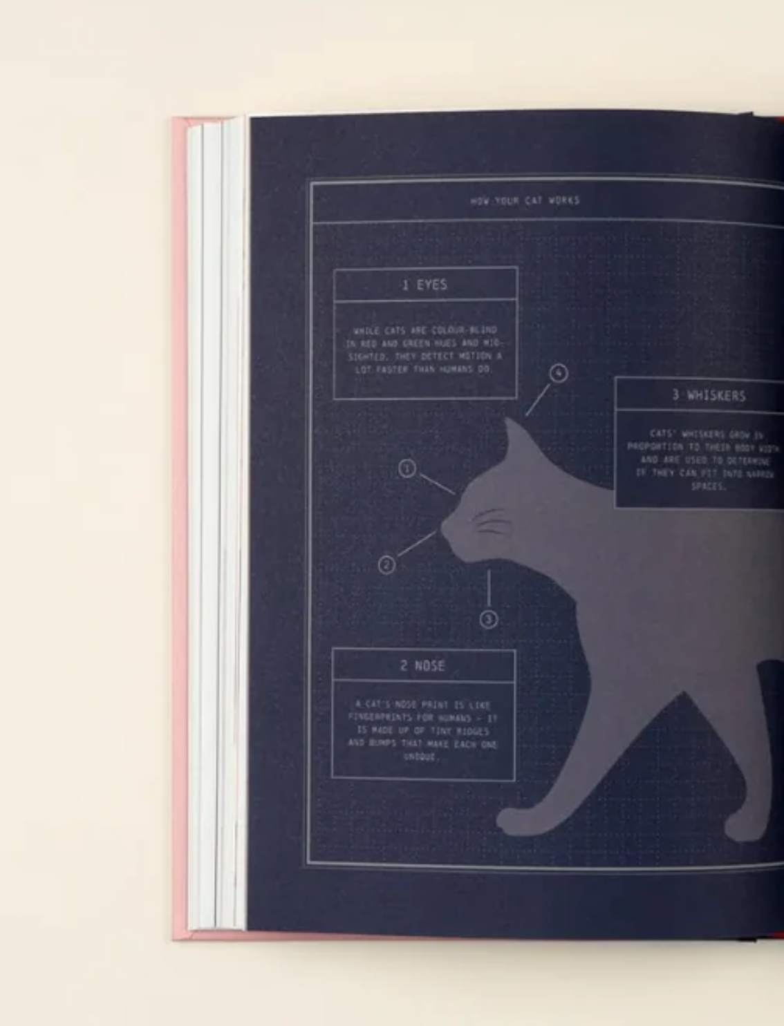 ספר Felinity: An Anthology of Illustrated Cats from Around the World