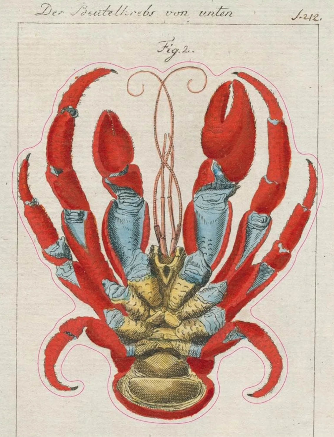 ספר מדבקות מצוירות של John Derian