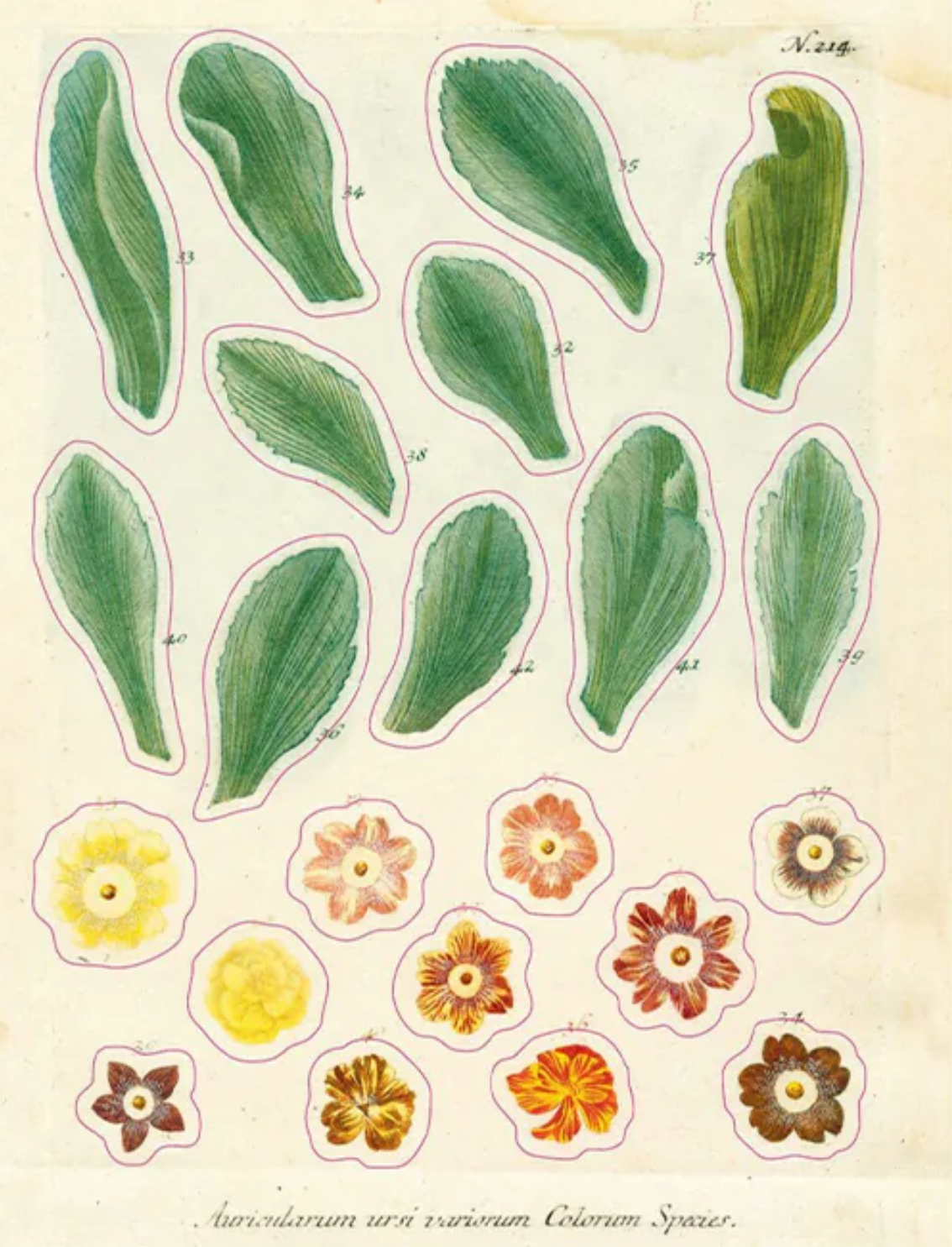 ספר מדבקות מצוירות של John Derian