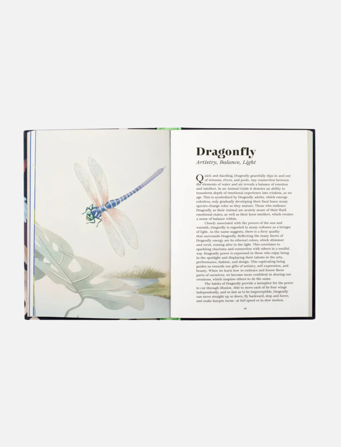 מדריך רוחני לגילוי עצמי: Find Your Animal