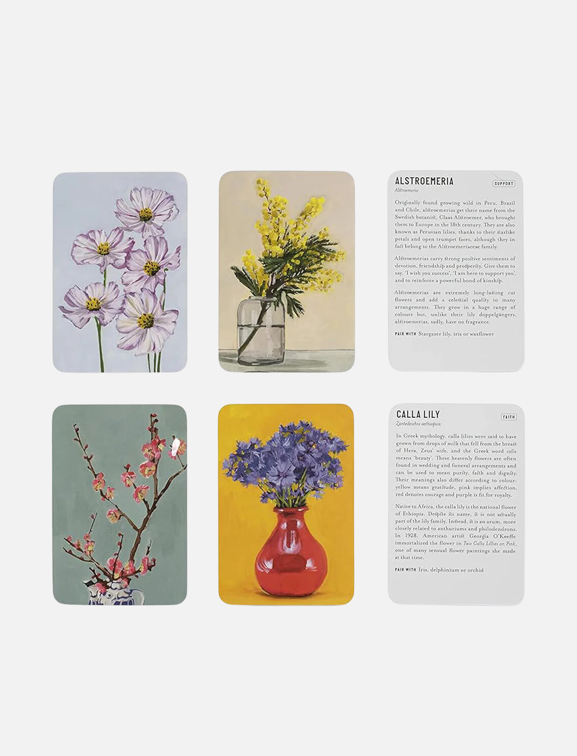 מארז 50 גלויות: Floriography- The Meaning of Flowers