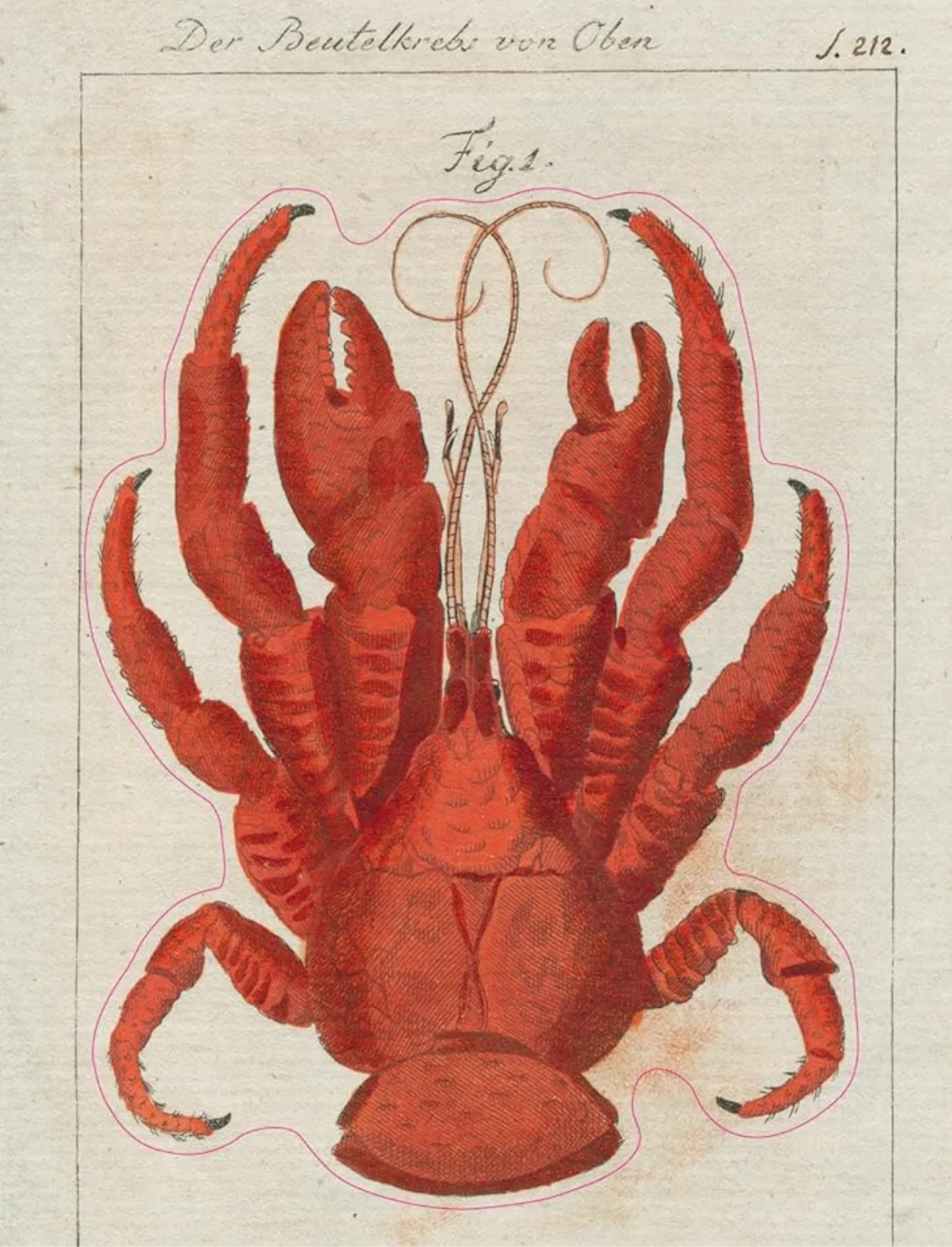 ספר מדבקות מצוירות של John Derian