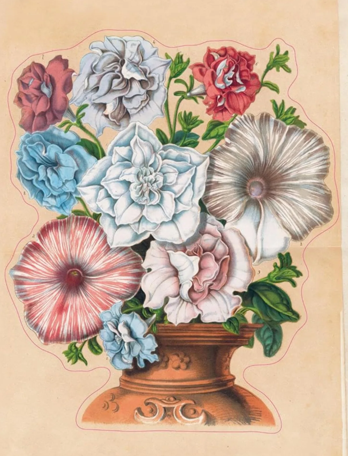 ספר מדבקות מצוירות של John Derian