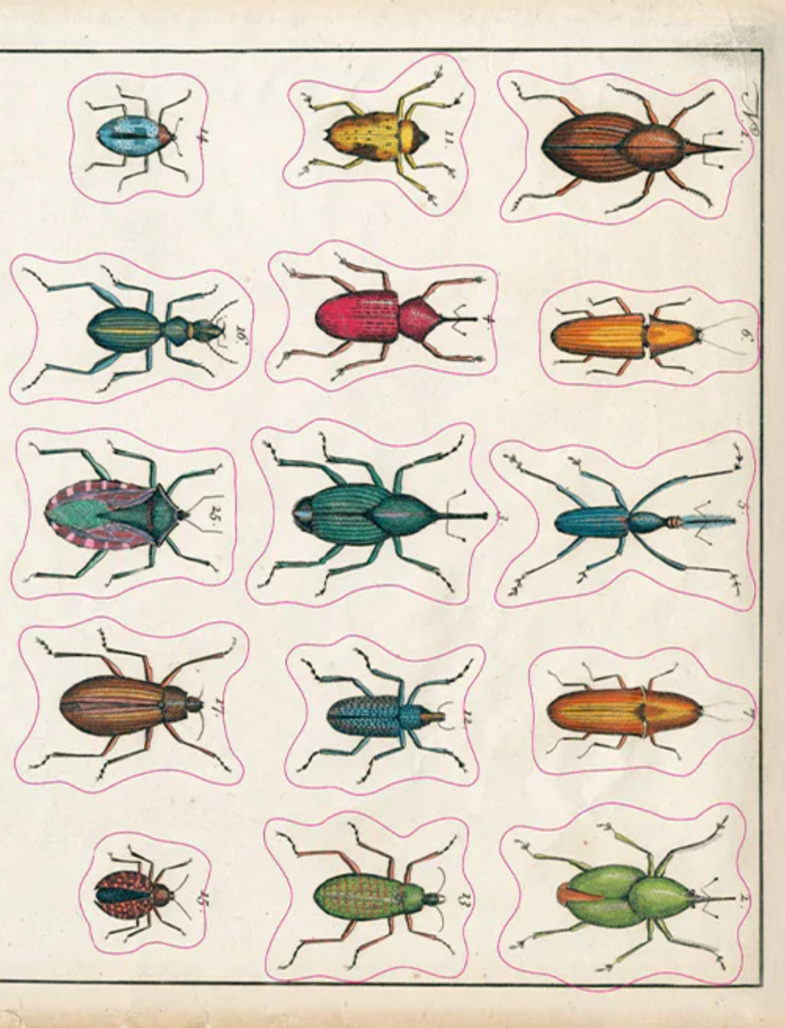 ספר מדבקות מצוירות של John Derian