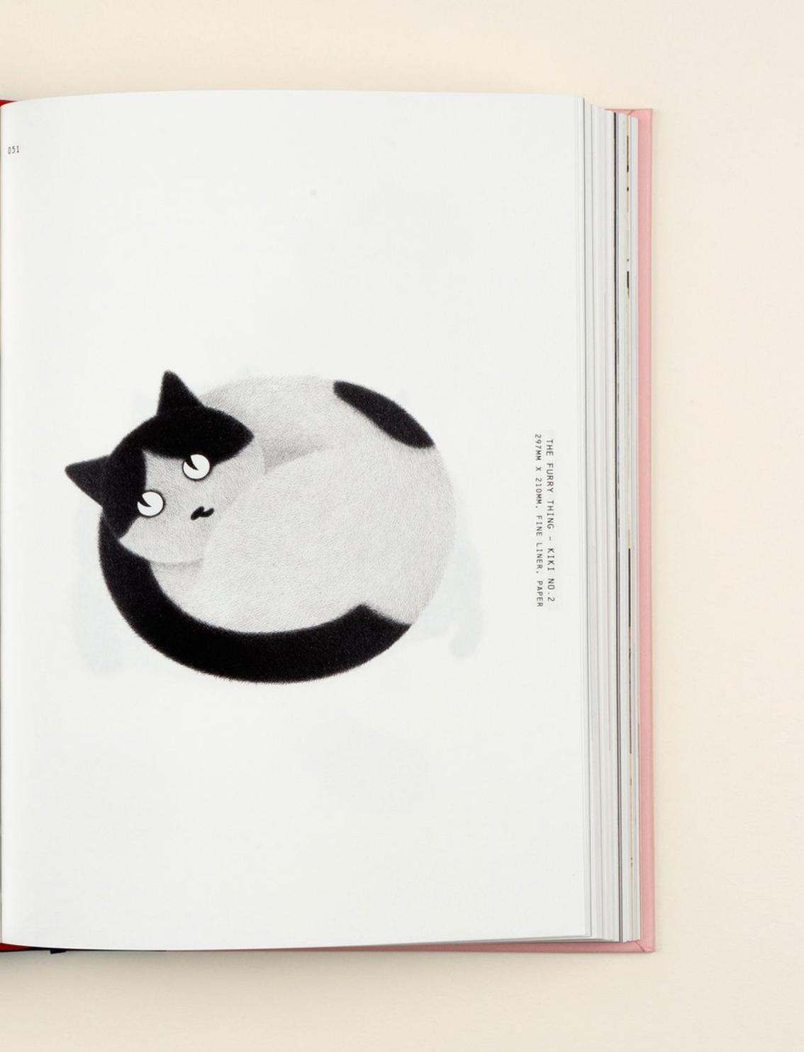 ספר Felinity: An Anthology of Illustrated Cats from Around the World