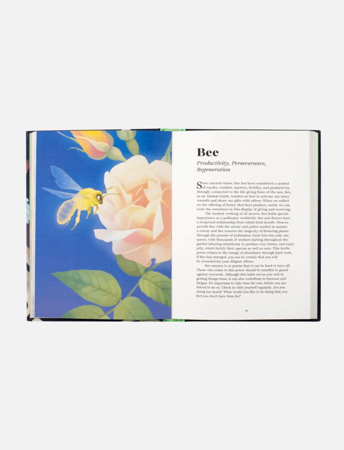 מדריך רוחני לגילוי עצמי: Find Your Animal