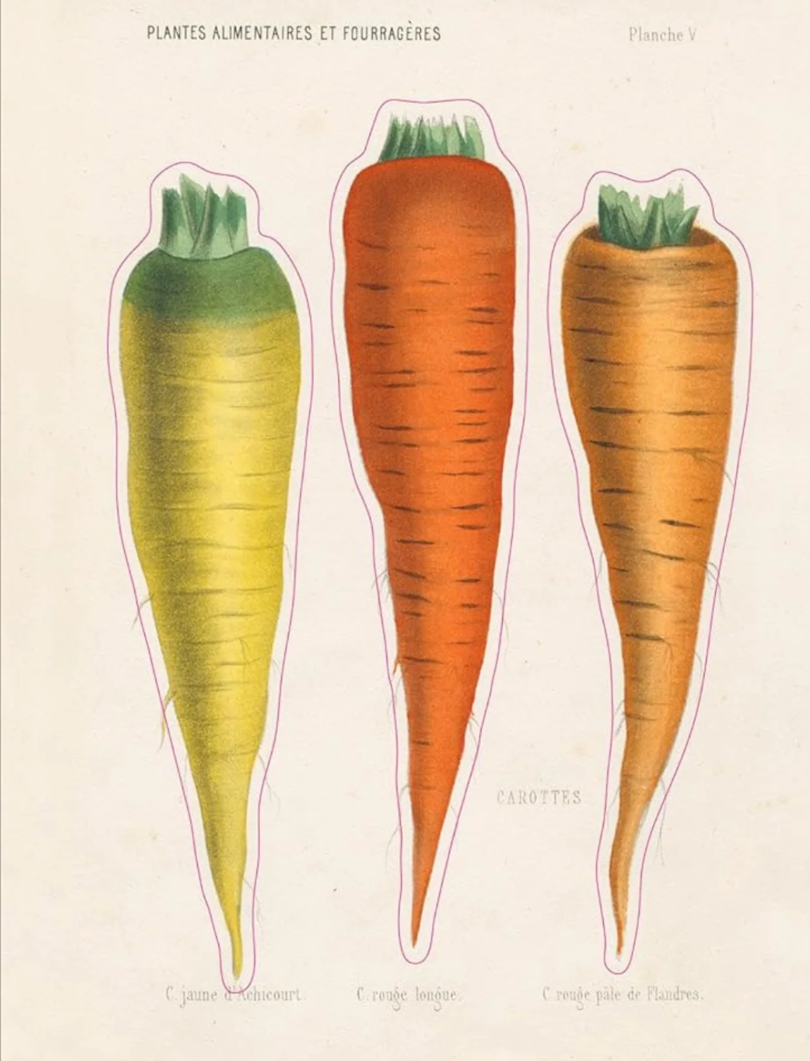 ספר מדבקות מצוירות של John Derian