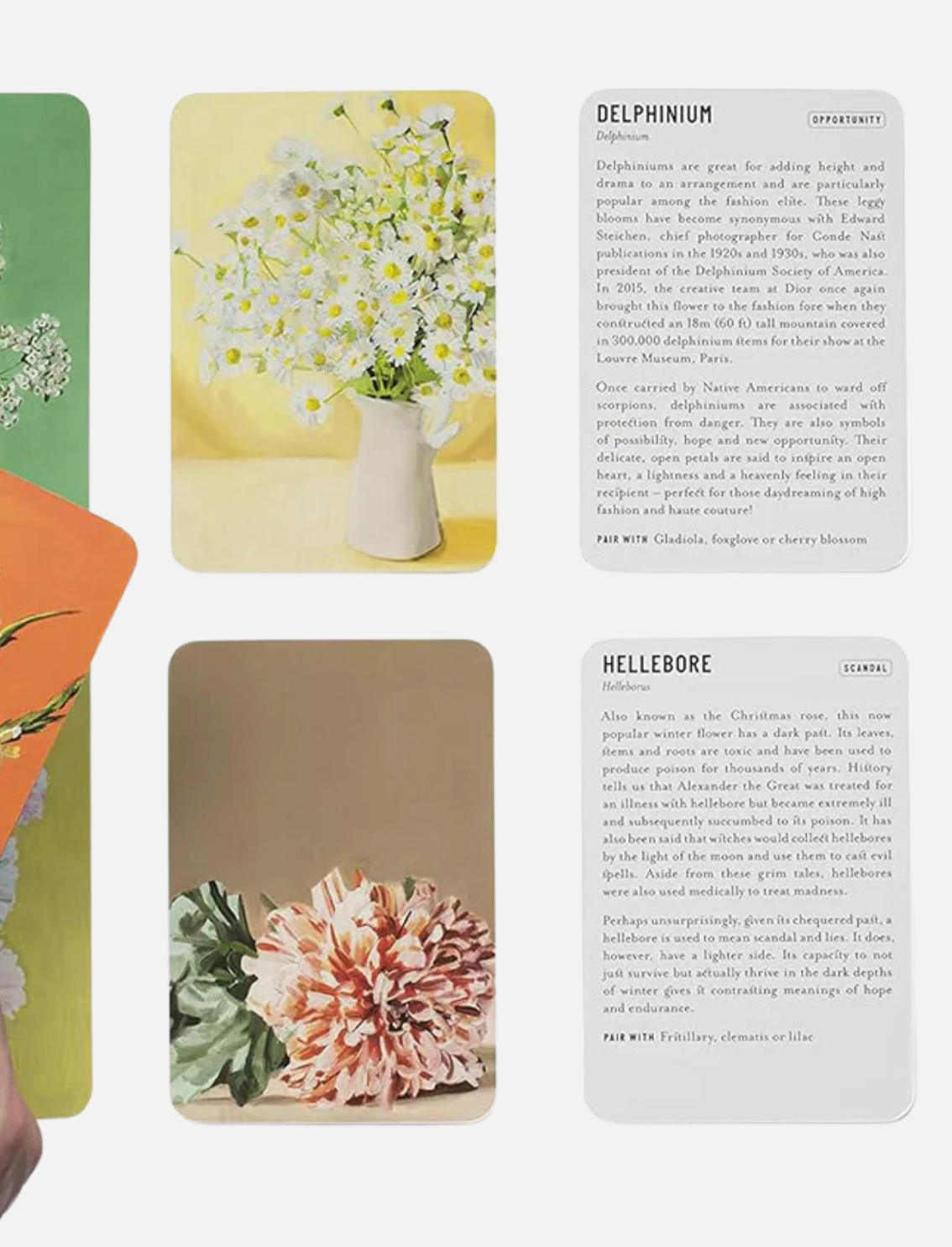 מארז 50 גלויות: Floriography- The Meaning of Flowers