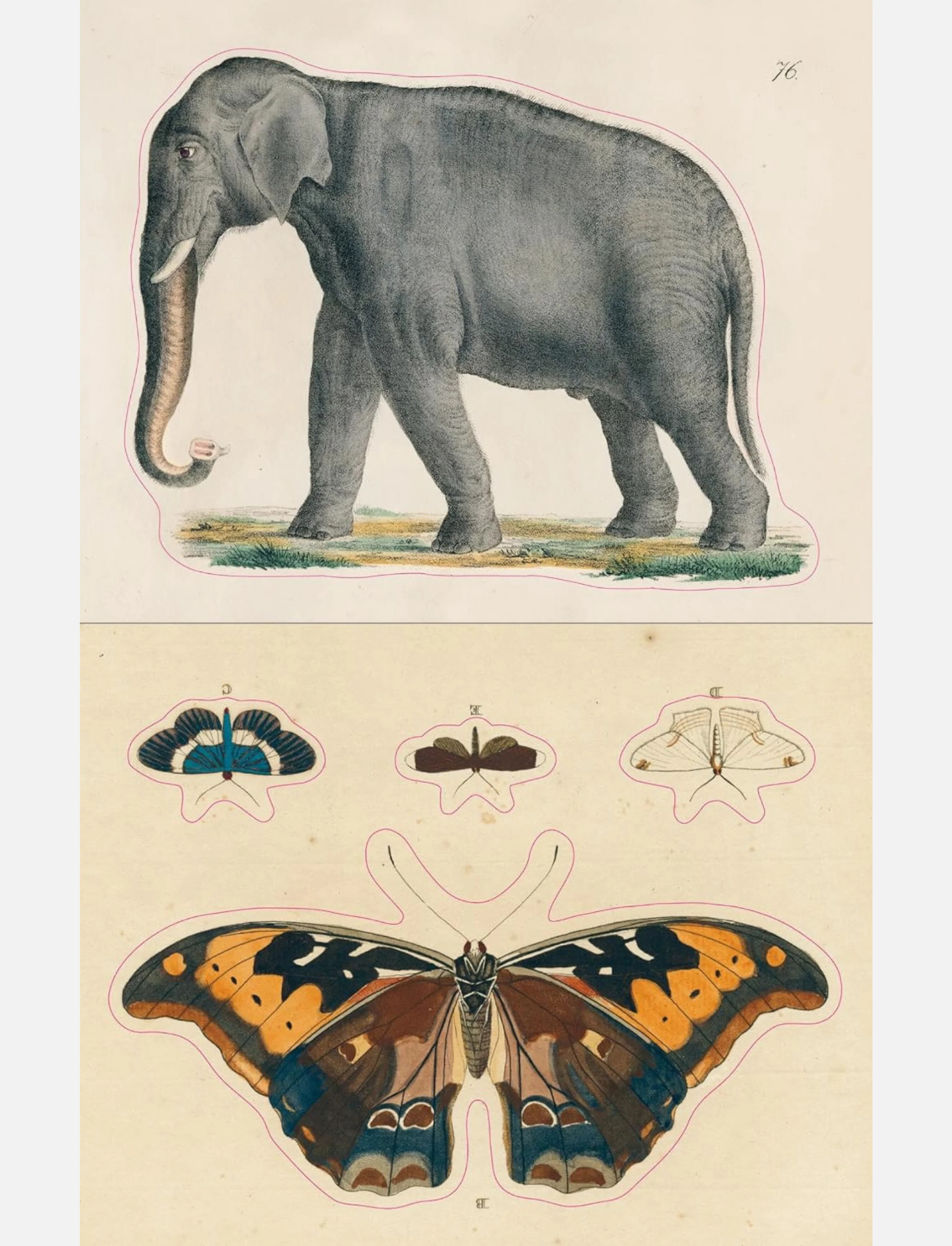 ספר מדבקות מצוירות של John Derian