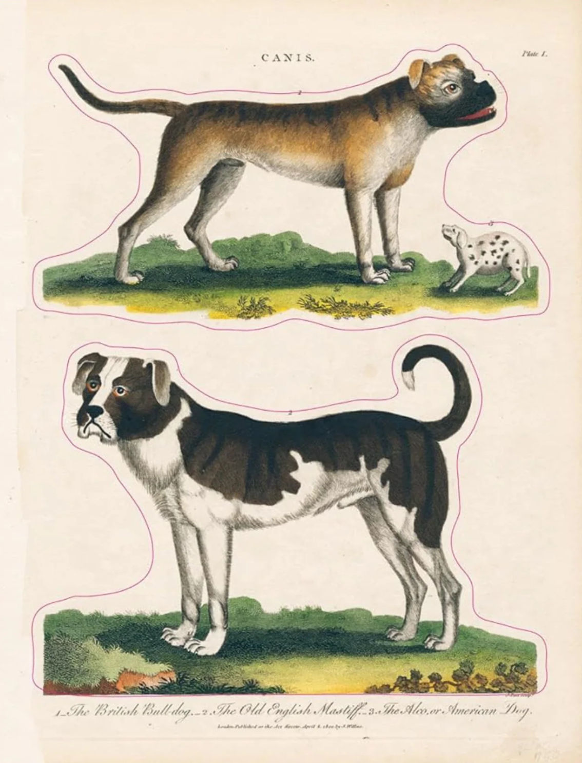 ספר מדבקות מצוירות של John Derian