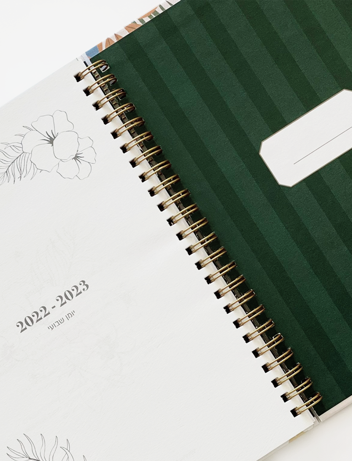 פלאנר עברי 2022-2023 Peach Bunny