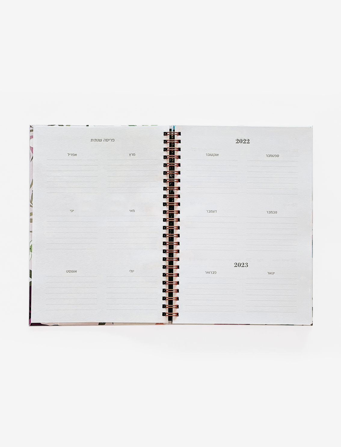 פלאנר עברי 2022-2023 Peach Bunny