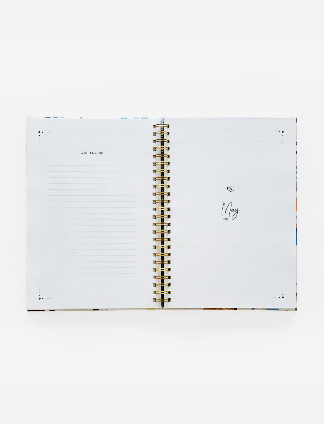 פלאנר עברי 2022-2023 Midnight Bunny