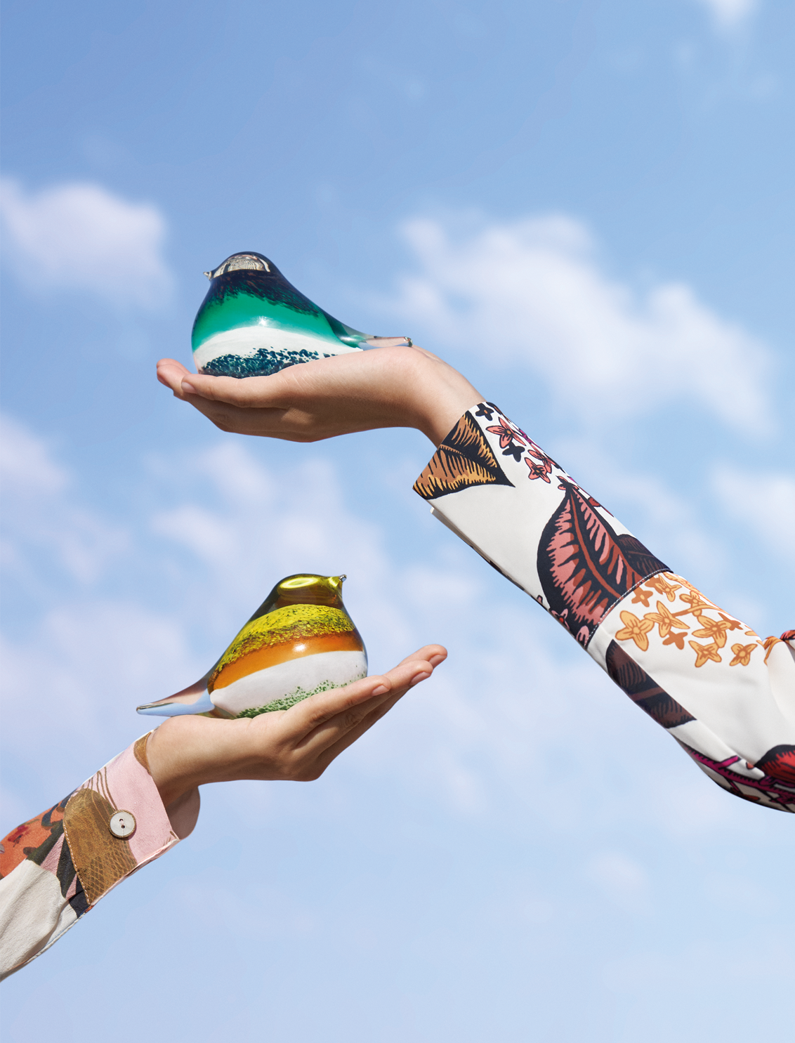 ציפור זכוכית ATLAS