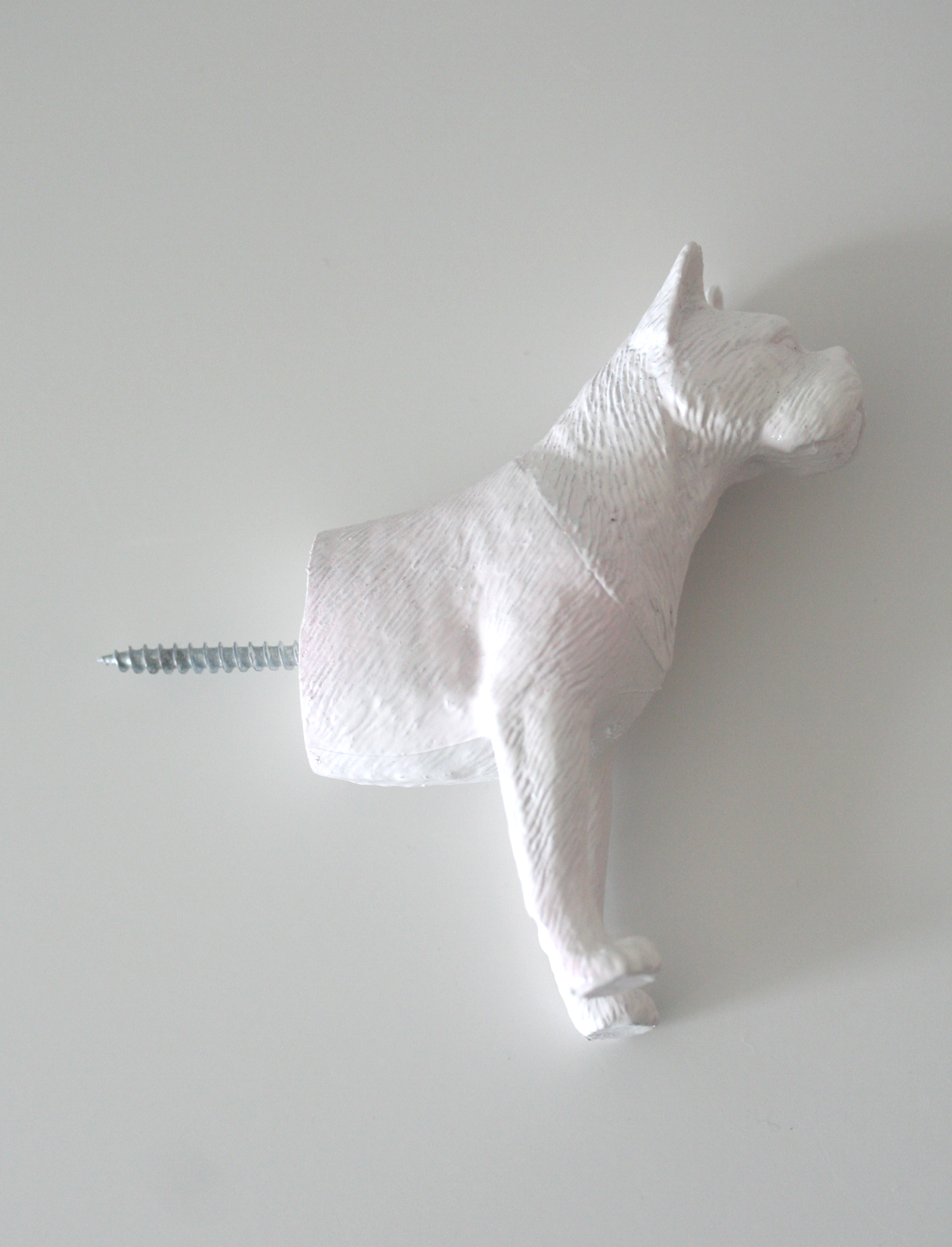 מתלה קיר Boxer