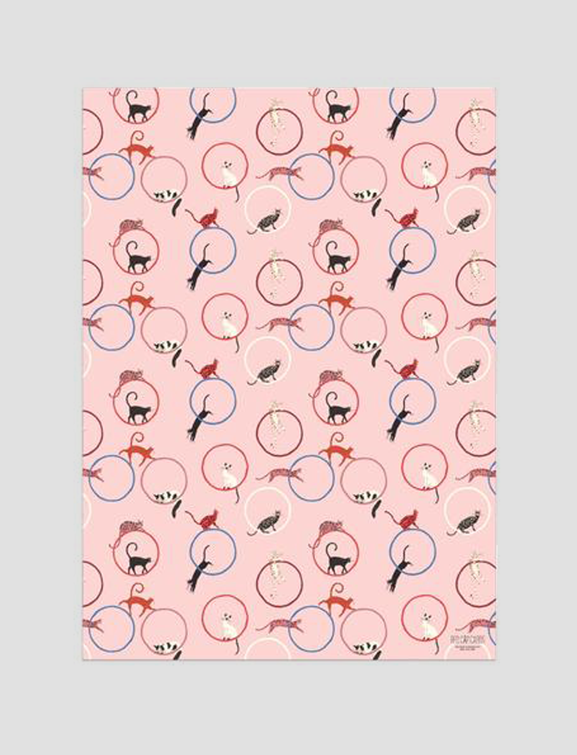 3 ניירות עטיפה Cat Ring