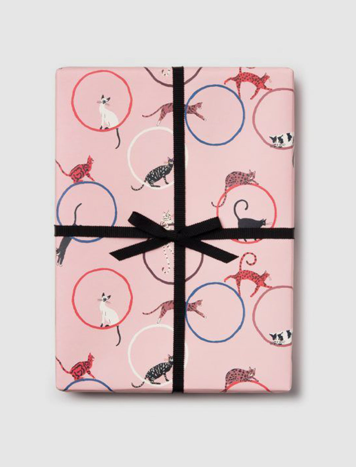 3 ניירות עטיפה Cat Ring