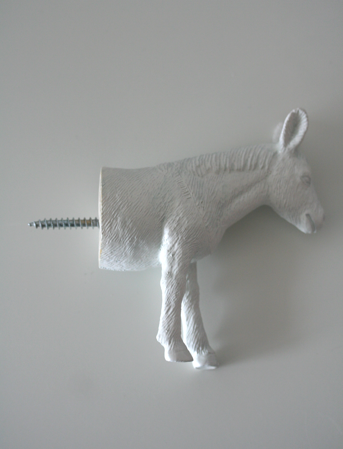 מתלה Donkey