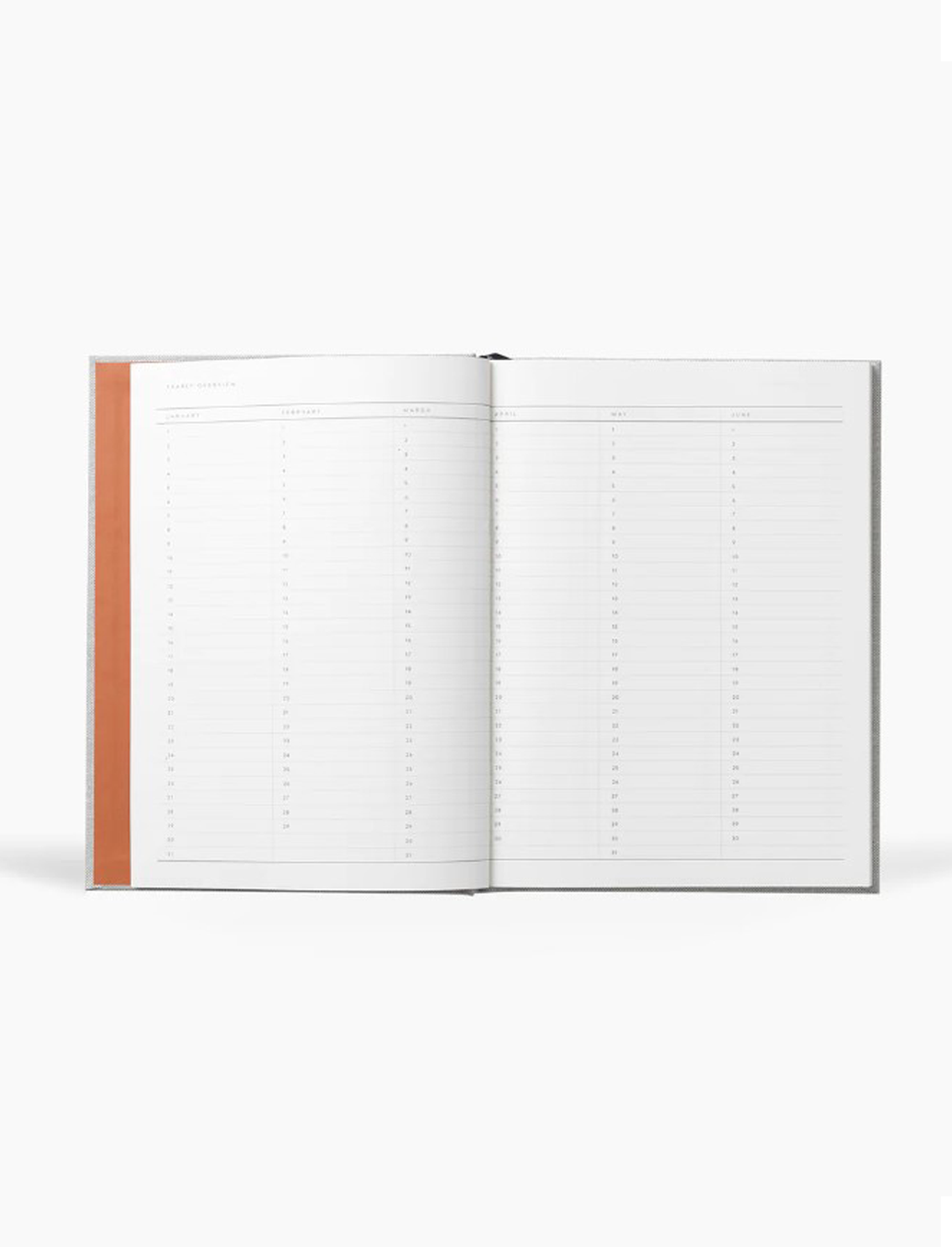 יומן עבודה Even Big