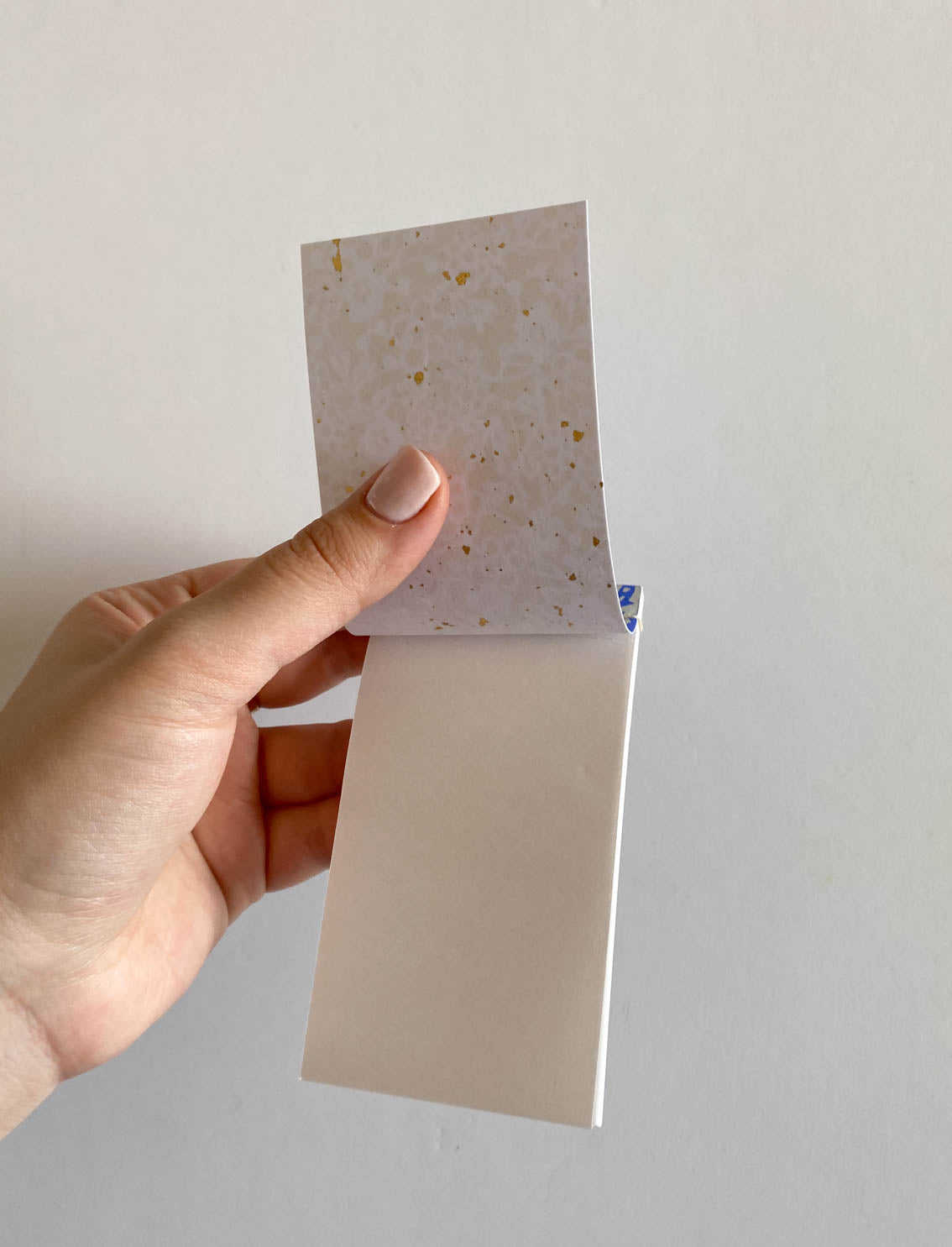 פנקס Red Blossom