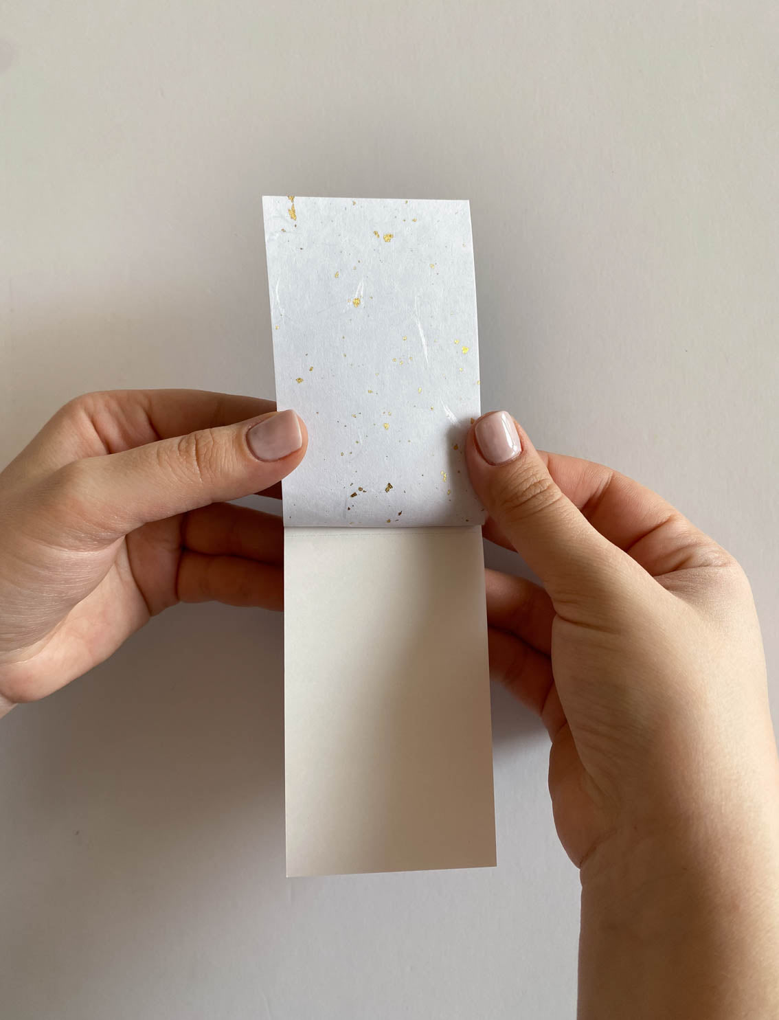 פנקס Red Blossom