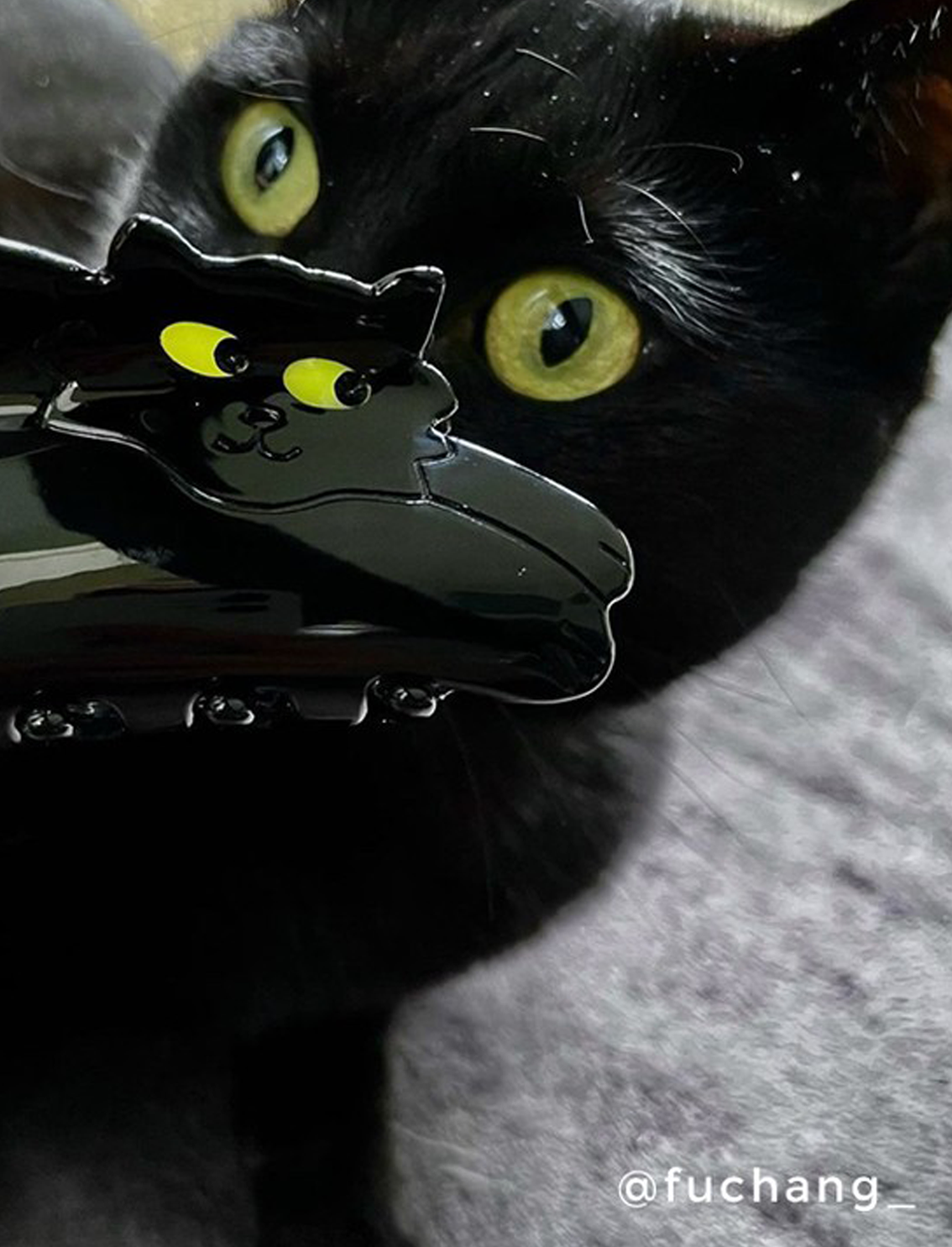 קליפס לשיער Black Cat