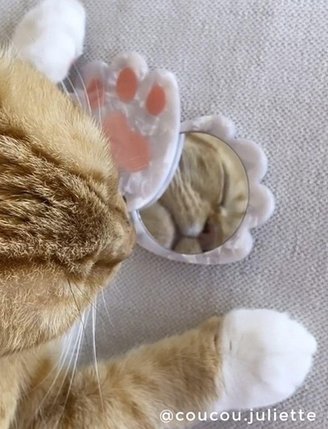 מראת כיס Cat Paw