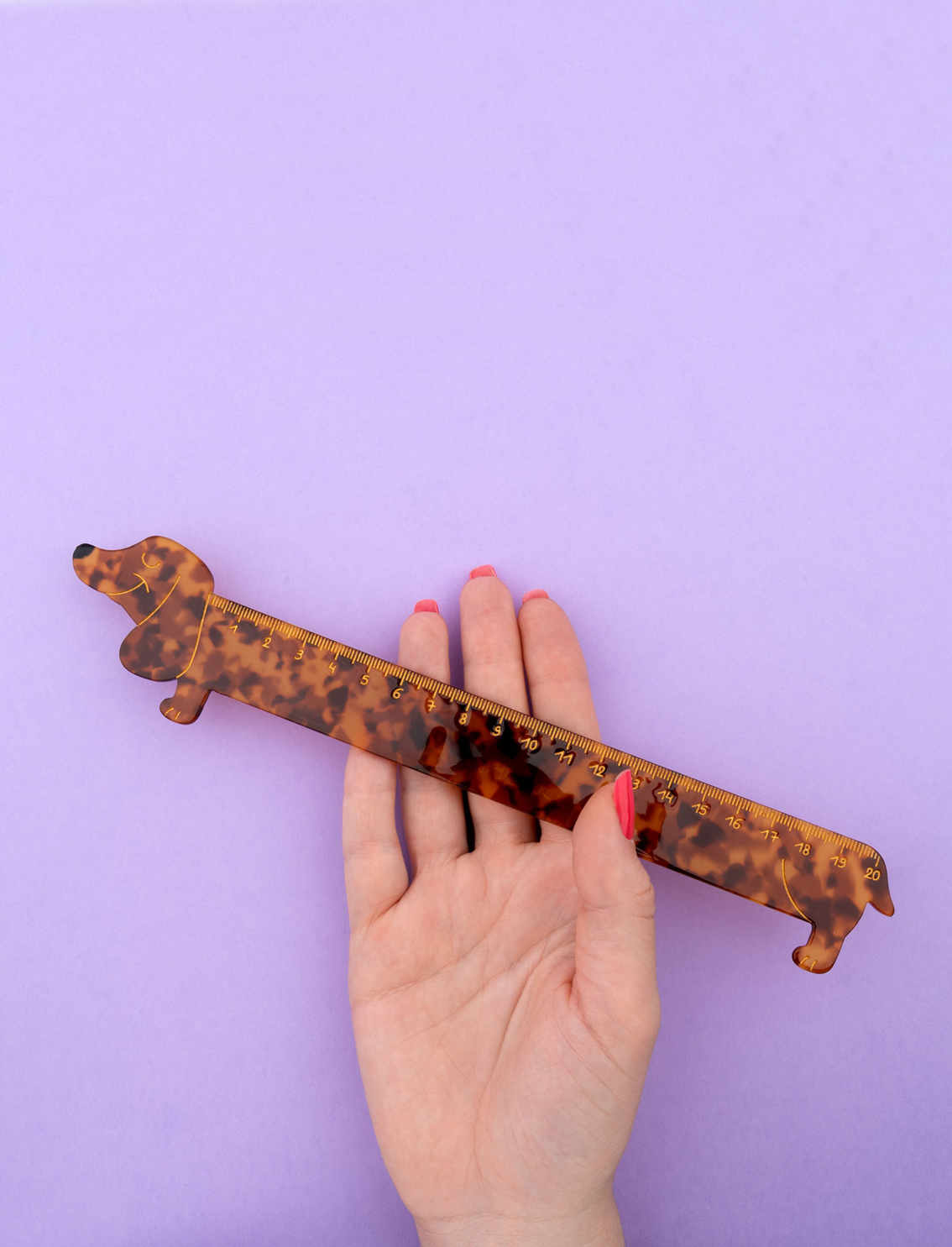 סרגל Dachshund